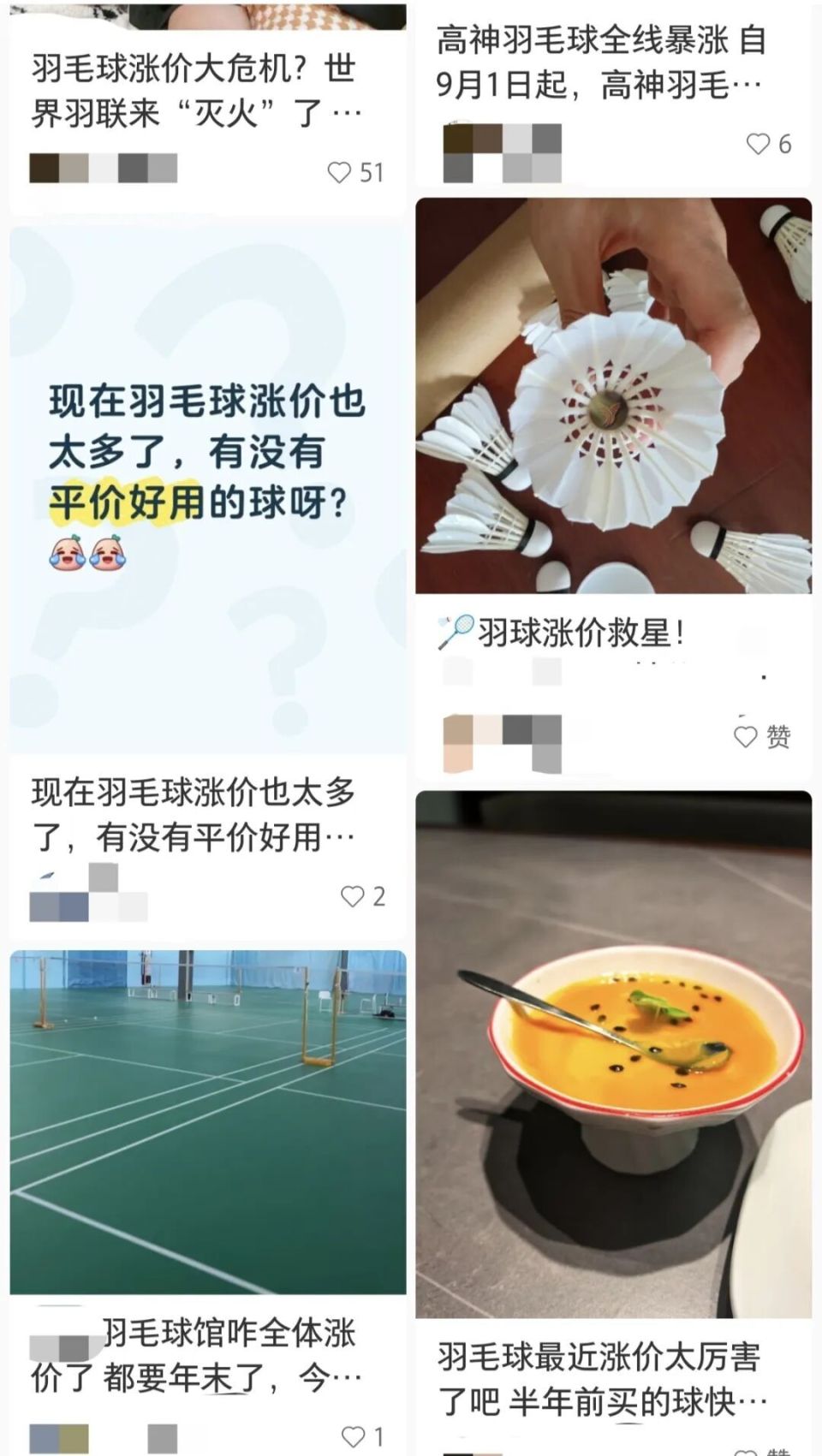 鸭鹅的养殖