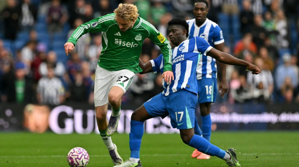 我会获得球 我会获得球