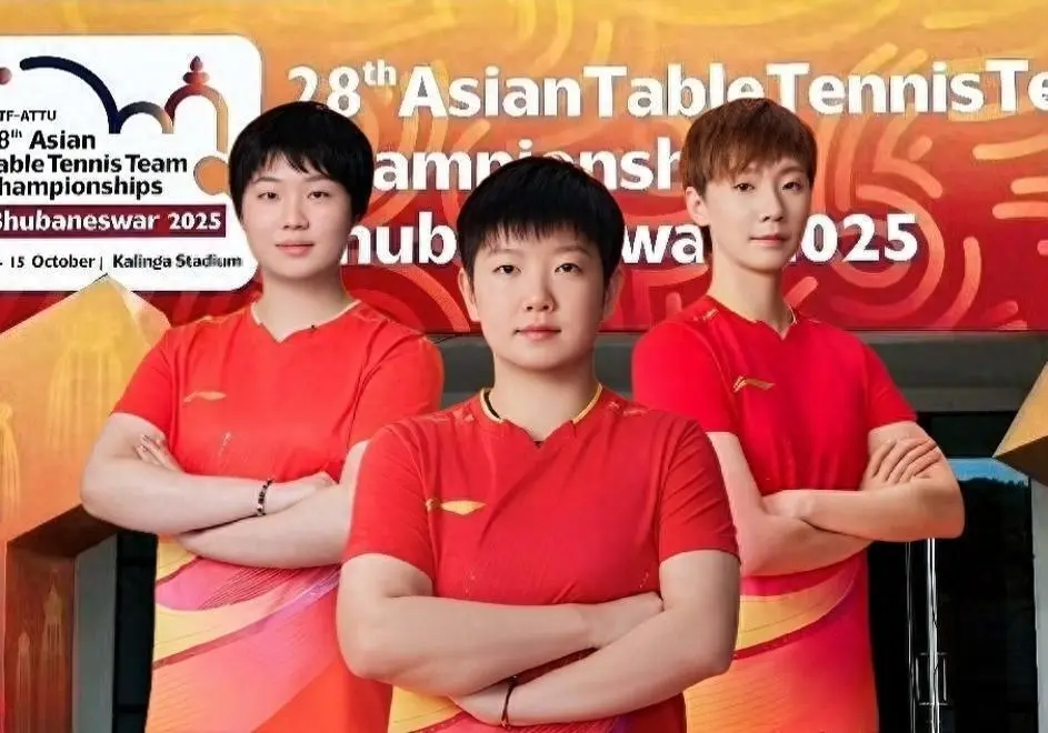 img, entit, 金琴英的比